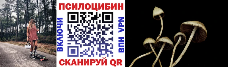 Галлюциногенные грибы Psilocybe Чусовой